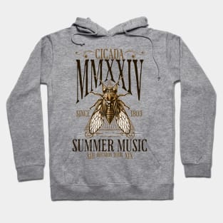 Cicada 2024 Reunion Tour - Brood XIX Brood XIII Hoodie